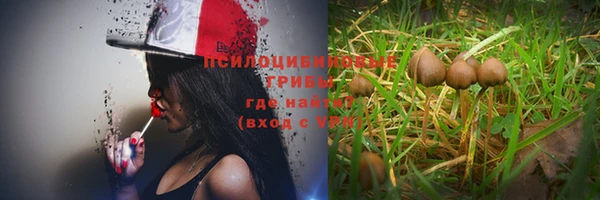 a pvp Белоозёрский