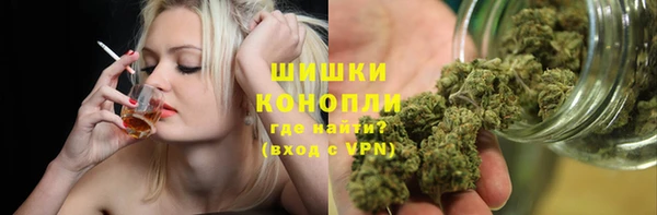 ECSTASY Белокуриха