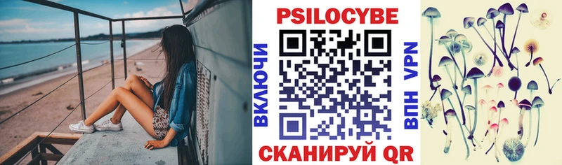 Галлюциногенные грибы Psilocybe Новая Ладога